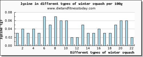 winter squash lysine per 100g